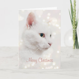Tarjeta Hermoso gato blanco con vacaciones en Navidades