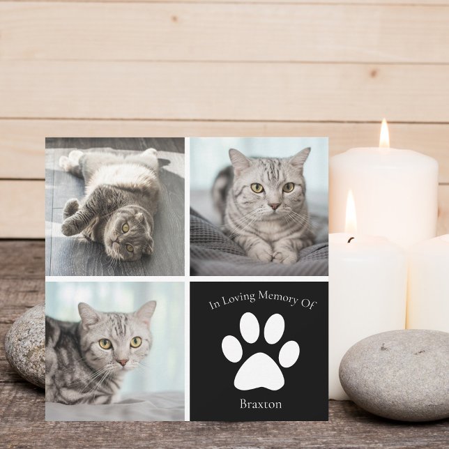 Tarjeta Hermoso gato Personalizado Mascota foto Keepsake (Subido por el creador)