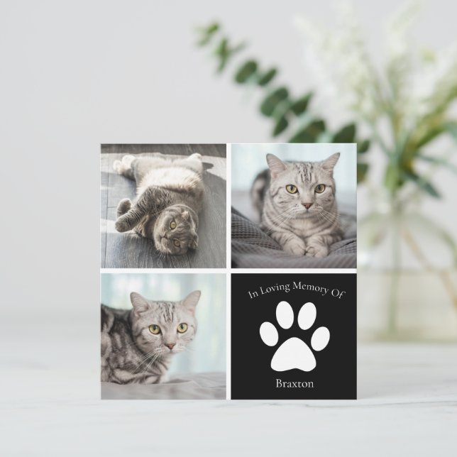 Tarjeta Hermoso gato Personalizado Mascota foto Keepsake (Anverso de pie)