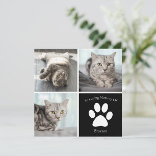 Tarjeta Hermoso gato Personalizado Mascota foto Keepsake