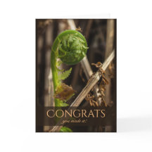 Hermoso helecho superando el invierno de 2017 Feli