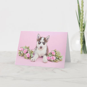 Tarjeta Hermoso Husky Puppy con rosas rosas rosas