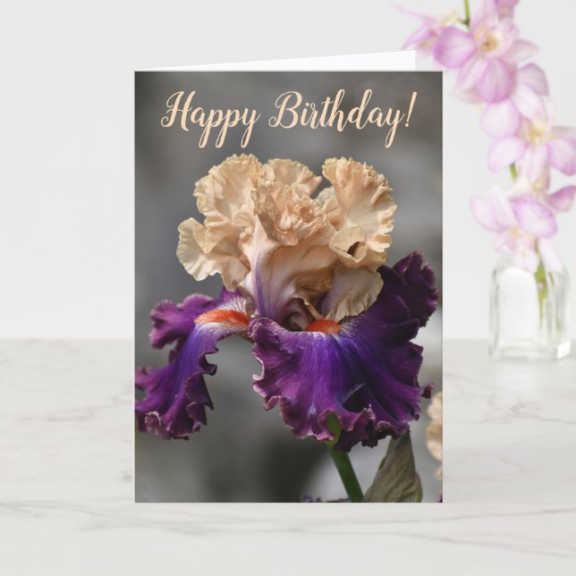 Tarjeta Hermoso Peach y Purple Iris Birday (Orquídea)