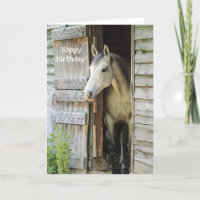 Hermoso Personalizado Gray Mare Horse Feliz Cumple