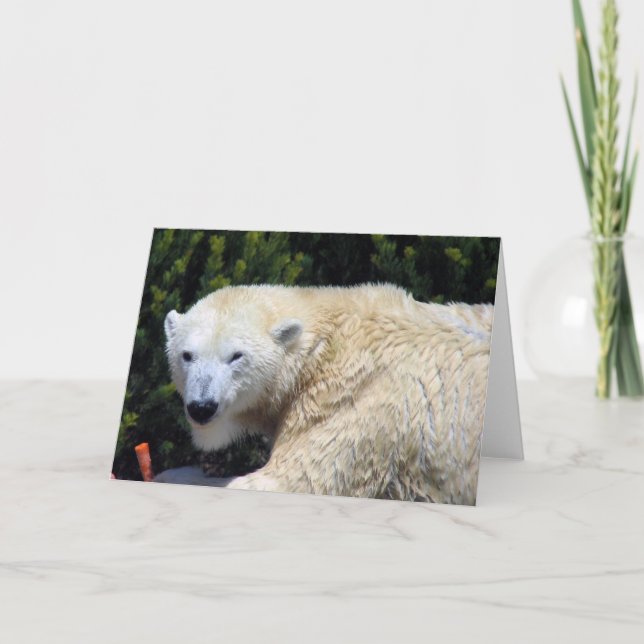 Tarjeta Hermoso Personalizado único de oso polar (Anverso)