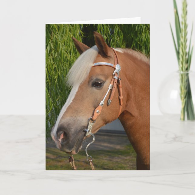 Tarjeta Hermoso retrato de caballo de hélice (Anverso)