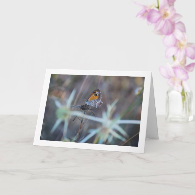 Tarjeta Hermoso retrato de mariposa (Orquídea)