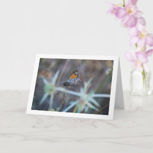 Tarjeta Hermoso retrato de mariposa