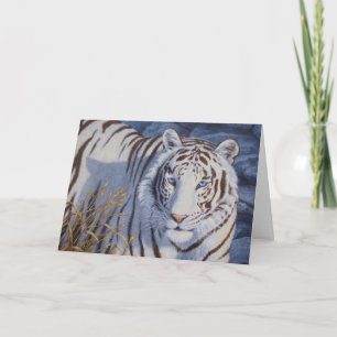 Tarjeta Hermoso tigre blanco con ojos azul cristal