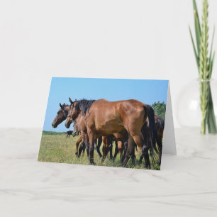 Tarjeta Hermosos caballos de Bahía