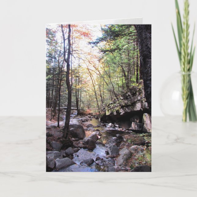 Tarjeta Hermosos deseos de cumpleaños (Anverso)