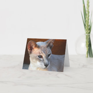 Tarjeta Hermosos Ojos Azules