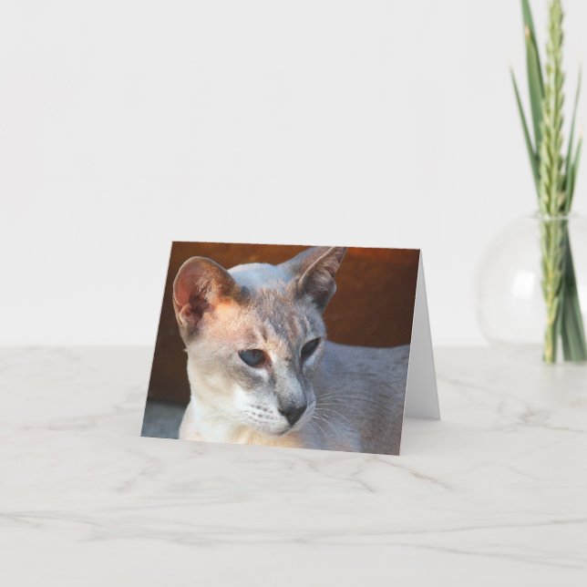 Tarjeta Hermosos Ojos Azules (Anverso)