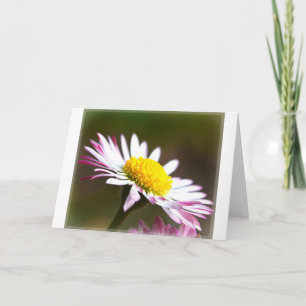 Tarjeta hermosos pétalos de flores romance novia romántica