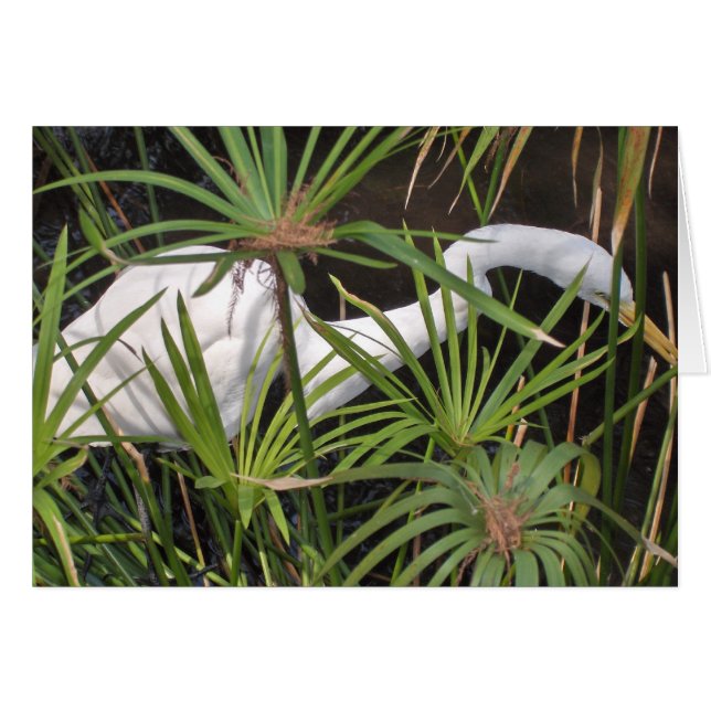 Tarjeta Heron (Anverso (Horizontal))