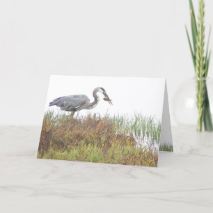 Tarjeta Heron Bird Wildlife Animals Wetlands