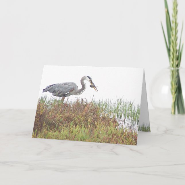 Tarjeta Heron Bird Wildlife Animals Wetlands (Anverso)