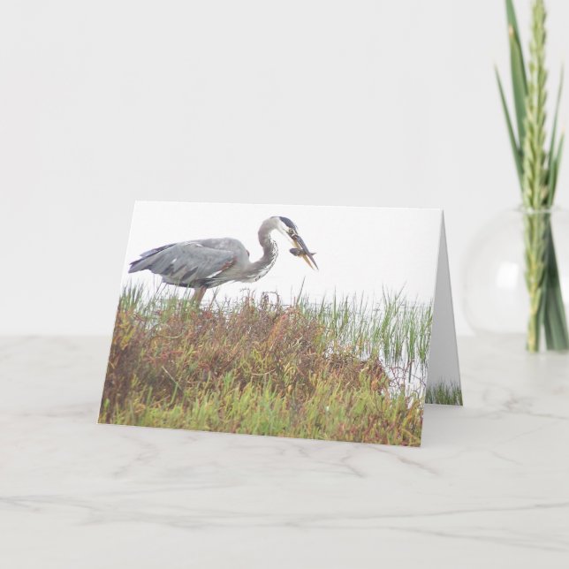 Tarjeta Heron Birds Wildlife Animals Wetlands (Anverso)