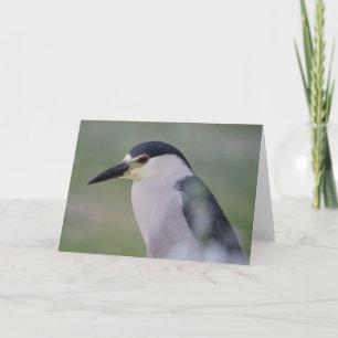 Tarjeta Heron Nocturna de Crowne Negro