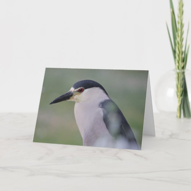 Tarjeta Heron Nocturna de Crowne Negro (Anverso)