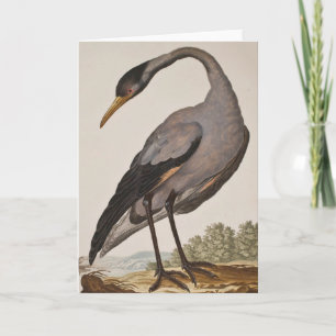 Tarjeta Heron Notecard del siglo XVIII en blanco