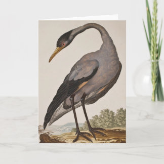 Tarjeta Heron Notecard del siglo XVIII en blanco
