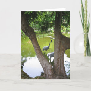 Tarjeta Herons