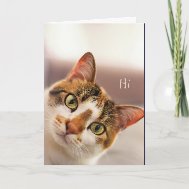 Tarjeta Hi Hello How are You? Cute Cat Kitten Animal Humor (Anverso)