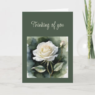 Tarjeta Hi Hello Thinking of You White Rose Greeneration