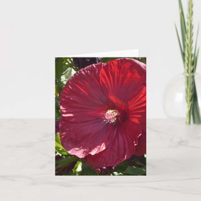 TARJETA HIBISCO DE COLOR ROJO OSCURO GRANDE, (Anverso)