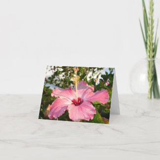 Tarjeta Hibisco - L