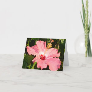Tarjeta Hibisco - R