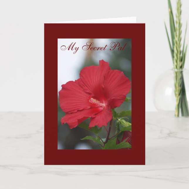 Tarjeta Hibisco rojo, mi PAL secreto (Anverso)