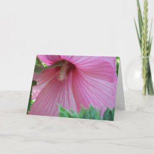 Tarjeta Hibisco rosado