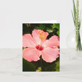 Tarjeta Hibisco - V