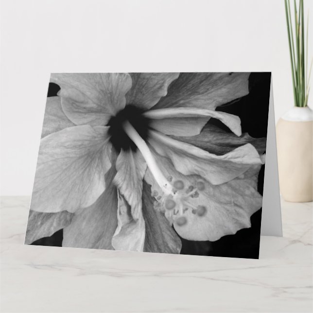 Tarjeta Hibiscus (Anverso)