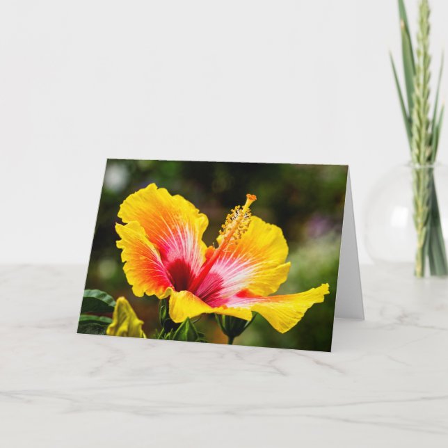 Tarjeta Hibiscus Amarillo brillante con corazón rojo (Anverso)