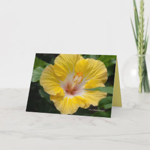 Tarjeta Hibiscus Bloom Amarillo