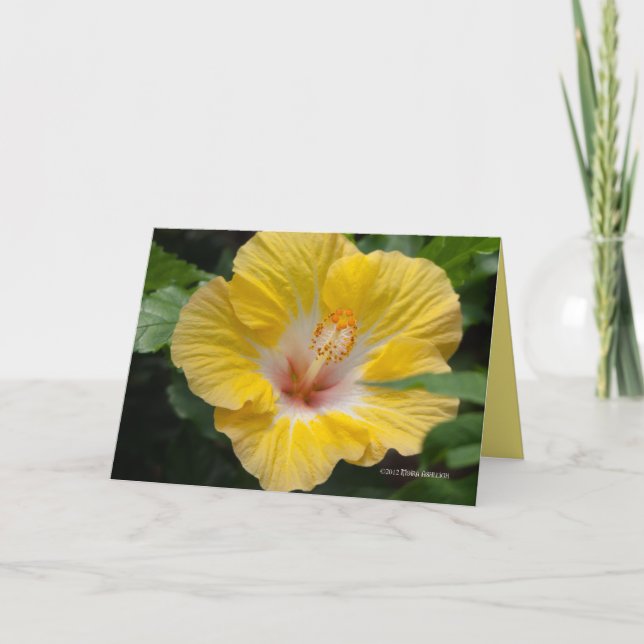 Tarjeta Hibiscus Bloom Amarillo (Anverso)
