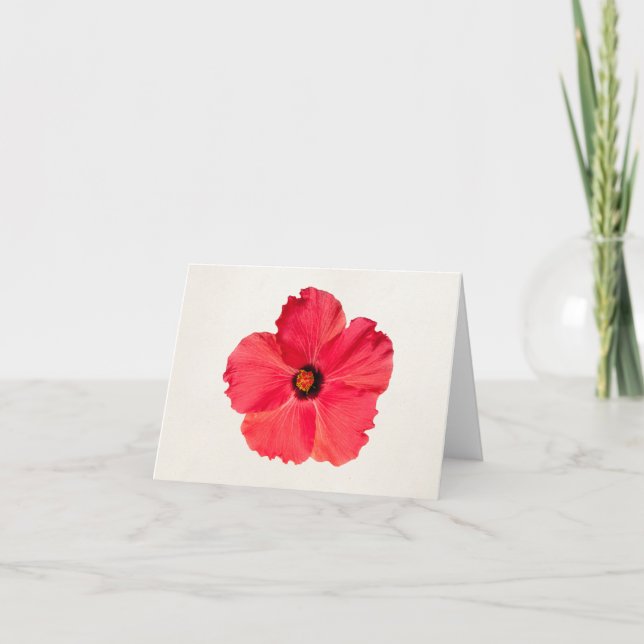 Tarjeta Hibiscus - Flor trópica caliente personalizada (Anverso)