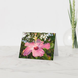 Tarjeta Hibiscus - L