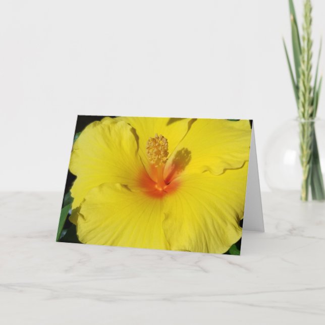 Tarjeta Hibiscus notecard (Anverso)
