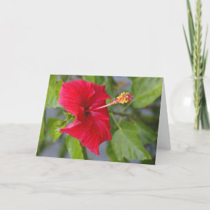 Tarjeta Hibiscus rojo Grabado en relieve, flor de Louise