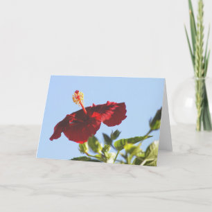 Tarjeta Hibiscus rojo Grabado en relieve, llama solar
