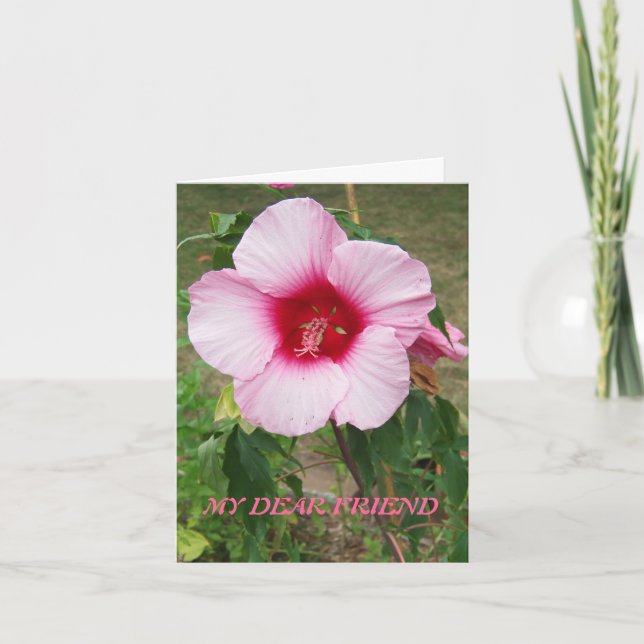 Tarjeta Hibiscus rosado, amigo (Anverso)