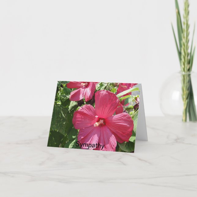 Tarjeta Hibiscus rosado caliente, simpatía (Anverso)