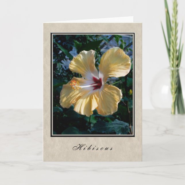 Tarjeta Hibiscus - Serie floral (Anverso)
