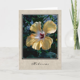 Tarjeta Hibiscus - Serie floral