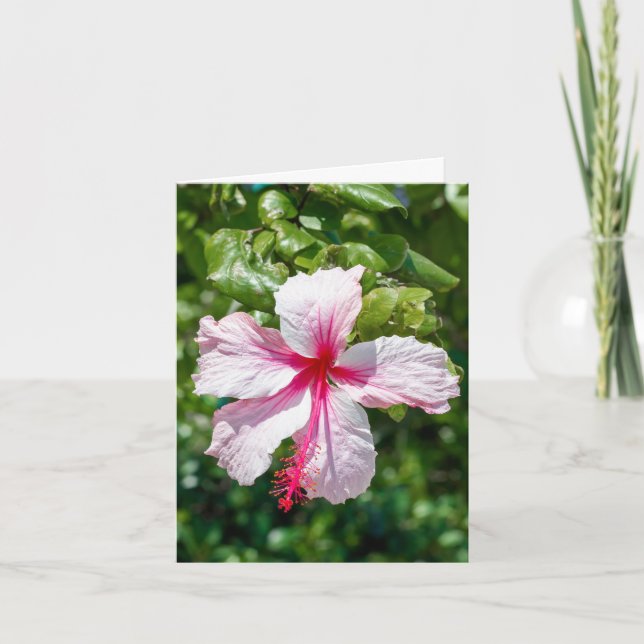Tarjeta Hibiscus Tropical Flower Flower Greeday (Anverso)