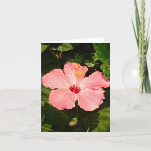 Tarjeta Hibiscus - V